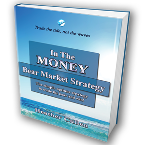 Heather Culle In The Monay Bear Market Strategy