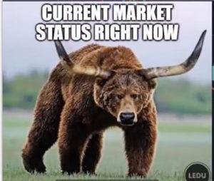 Heather Cullen In The Money Blog bear with bull horns