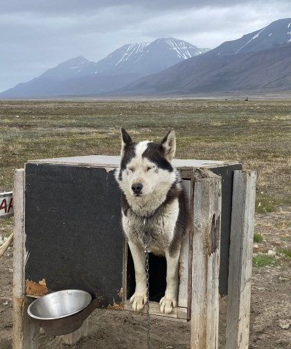 Heather Cullen ITM In The Money BLOG COVID perfect storm