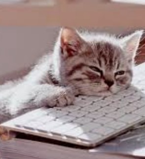 Heather Cullen ITM In The Money BLOG COVID perfect storm