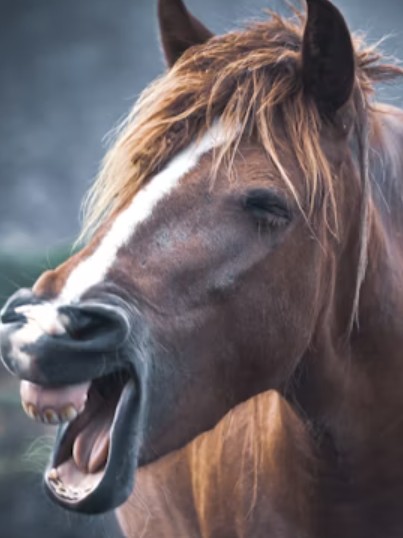 Heather Cullen ITM In The Money BLOG Market Makers