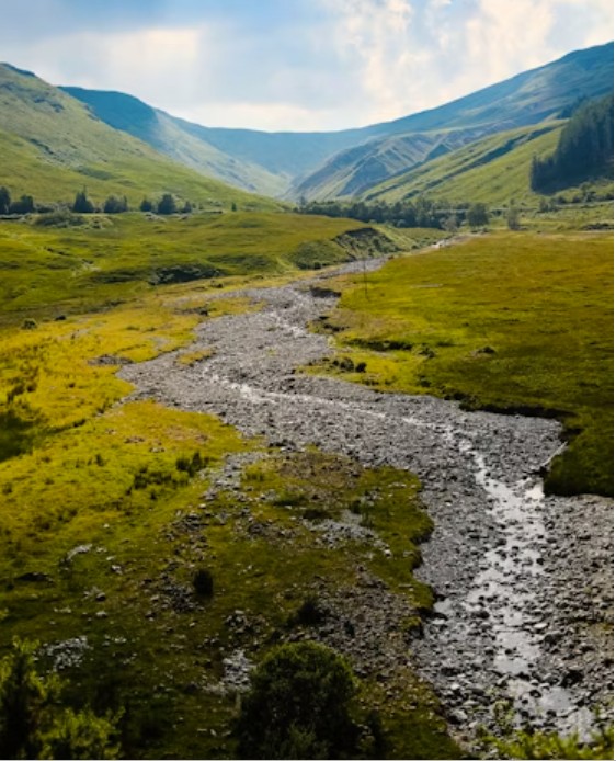 Heather Cullen ITM In The Money BLOG Market Makers