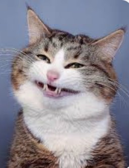 Heather Cullen ITM In The Money BLOG COVID perfect storm