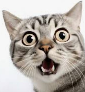 Heather Cullen ITM In The Money BLOG COVID perfect storm