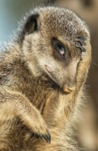 Heather Cullen ITM In The Money BLOG COVID perfect storm