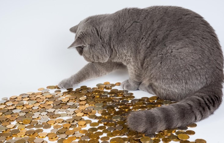 Heather Cullen ITM Strategy In The Money BLOG Protecting profits different SMAs