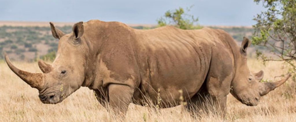 Heather Cullen ITM Strategy In The Money BLOG Time Value