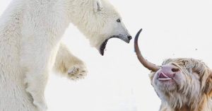 Heather Cullen ITM Strategy In The Money BLOG Bull Markets