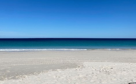 Heather Cullen ITM Strategy In The Money BLOG Bear Traps and Log Charts