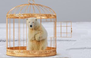 Heather Cullen ITM Strategy In The Money BLOG Bear Traps and Log Charts