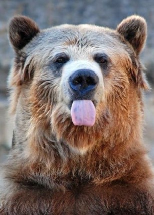 Heather Cullen ITM Strategy In The Money BLOG SPY Up Options Down