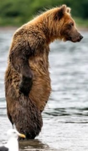 Heather Cullen ITM Strategy In The Money BLOG SPY Up Options Down