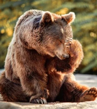 Heather Cullen ITM Strategy In The Money BLOG SPY Up Options Down