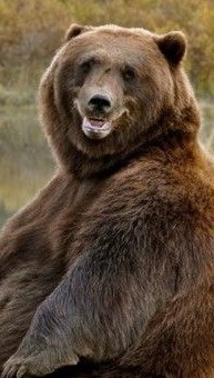 Heather Cullen ITM Strategy In The Money BLOG SPY Up Options Down