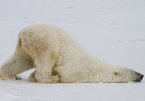 Heather Cullen ITM Strategy In The Money BLOG Extended Trading Hours