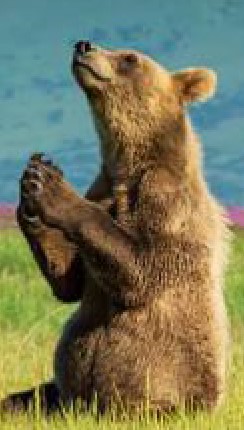 Heather Cullen ITM Strategy In The Money BLOG SPY Up Options Down