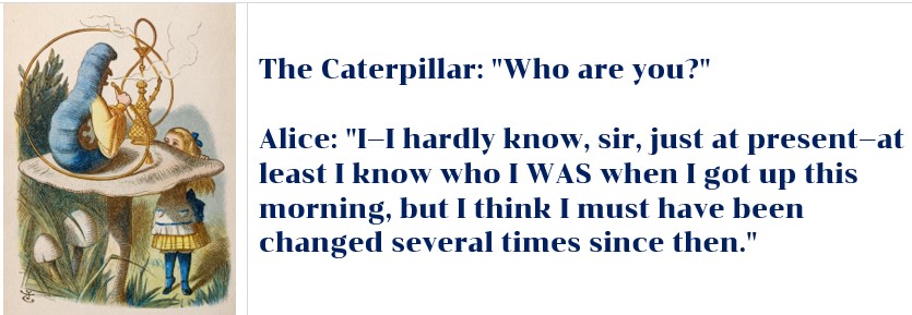 Heather Cullen In The Money BLOG 2026 Predictions