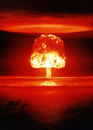 Heather Cullen Blog Panic First Think Later