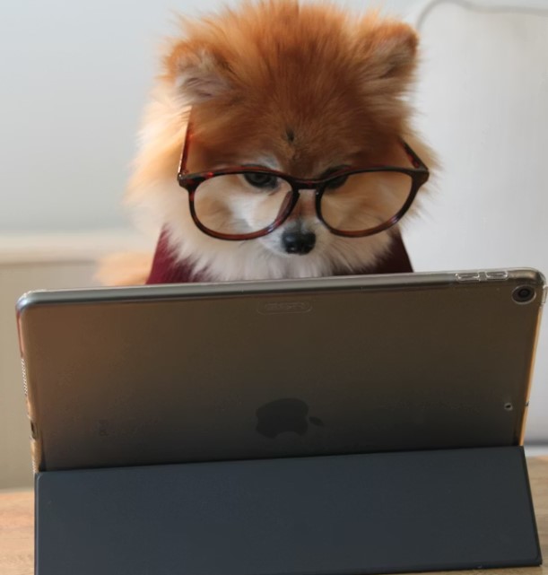 Heather Cullen In The Money BLOG Dumb Money Smart Money