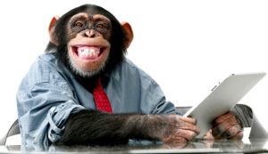 Heather Cullen In The Money BLOG Dumb Money Smart Money