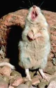 Heather Cullen In The Money BLOG Dumb Money Smart Money