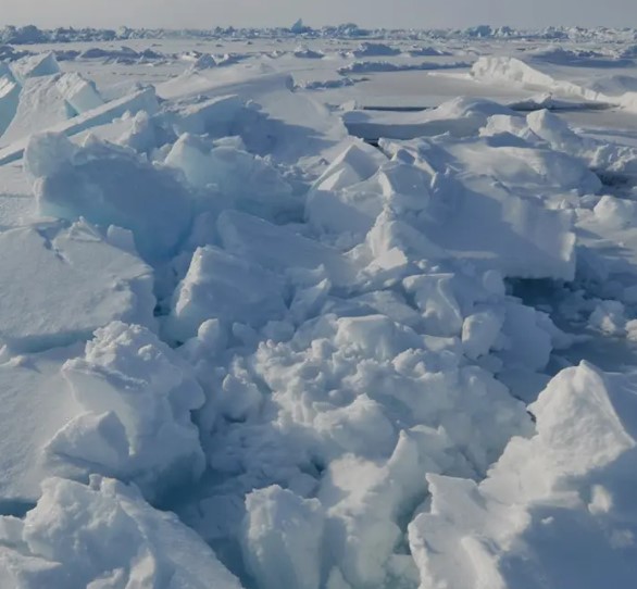 Heather Cullen Blog Panic First Think Later