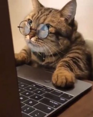 Heather Cullen In The Money BLOG Dumb Money Smart Money