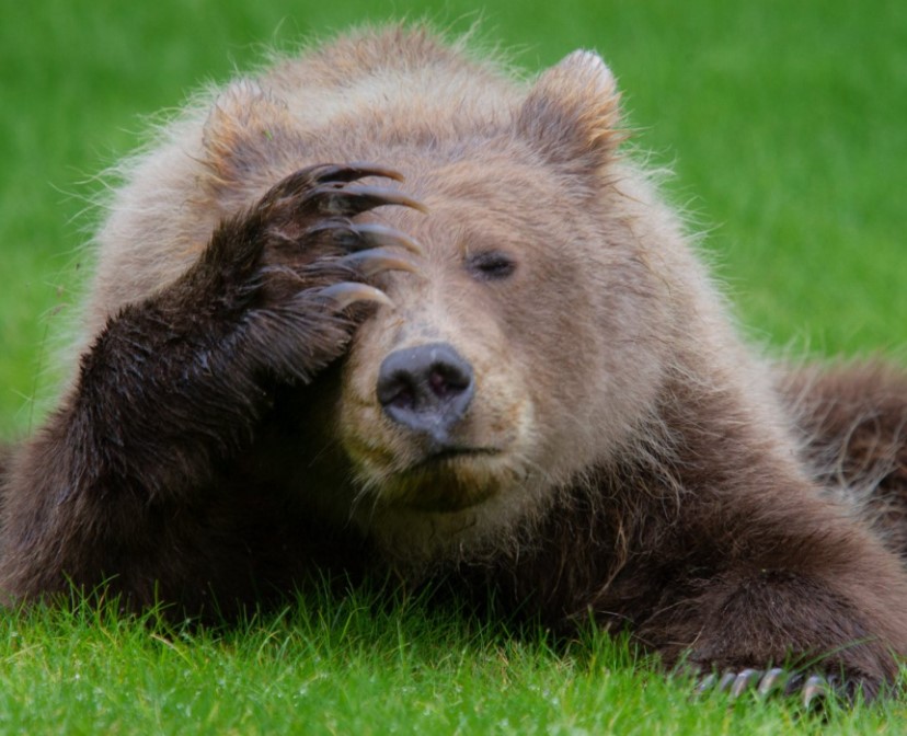 In The Money Heather Cullen ITM BLOG The Psychology of Boredom