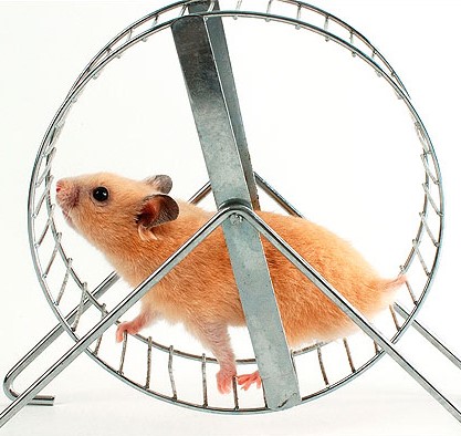 In The Money Heather Cullen ITM BLOG The Psychology of Boredom