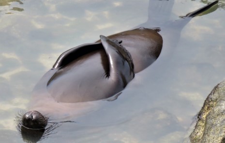 In The Money Heather Cullen ITM BLOG The Psychology of Boredom