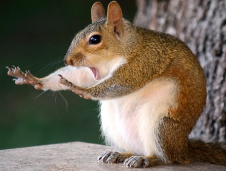 In The Money Heather Cullen ITM BLOG The Psychology of Boredom