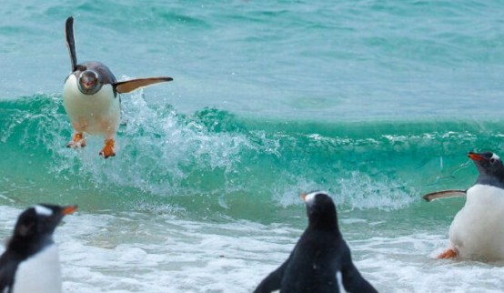 Heather Cullen In The Money ITM BLOG Broker Risk Closing Only