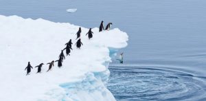 Heather Cullen In The Money ITM BLOG Broker Risk Closing Only