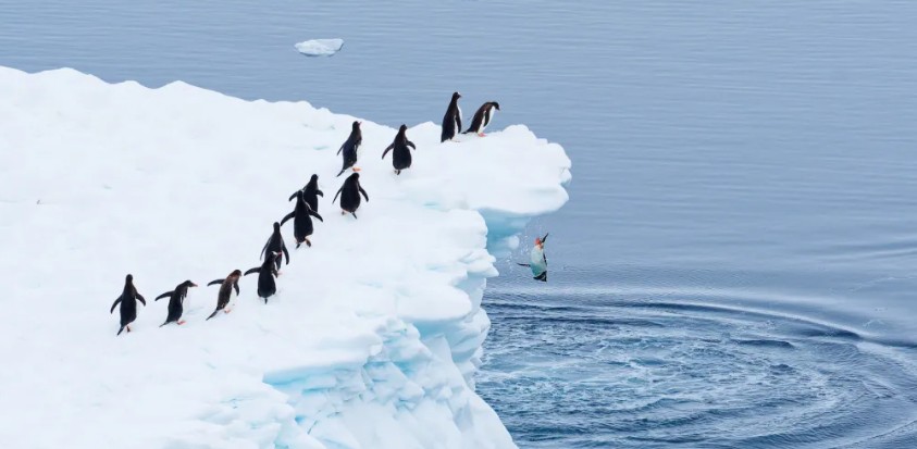 Heather Cullen In The Money ITM BLOG Broker Risk Closing Only