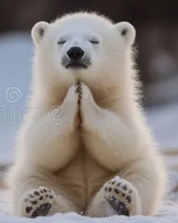 Heather Cullen In The Money ITM BLOG Swansong