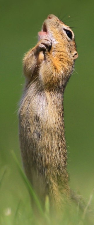 Heather Cullen In The Money ITM BLOG Swansong