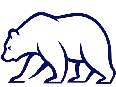 bear 763 739 transparent